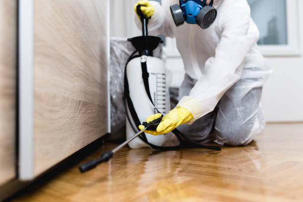 Best Wasp Removal Services  in Russell, PA