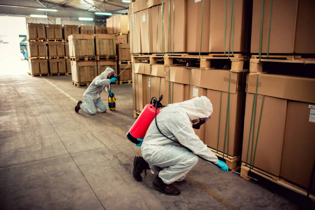 Best Termite Control Services  in Russell, PA