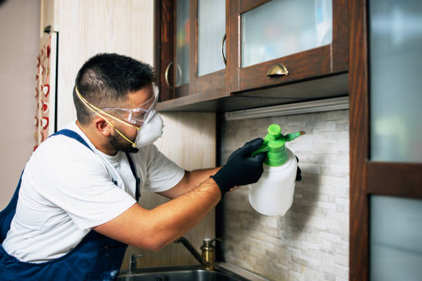 Wasp Removal Services in Russell, PA