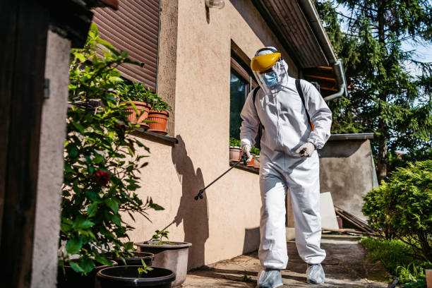 Best Affordable Pest Control Services  in Russell, PA