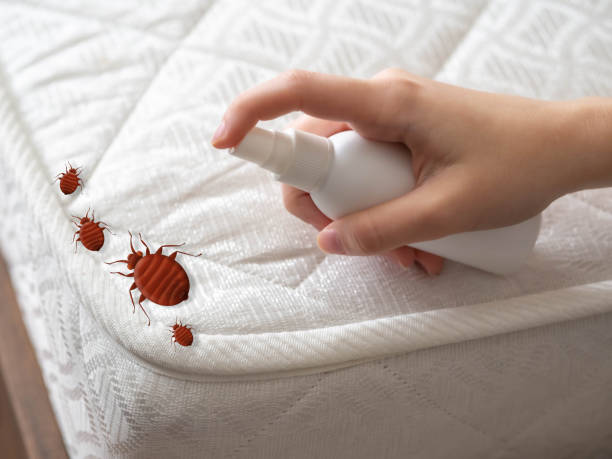 Best Bed Bug Extermination  in Russell, PA