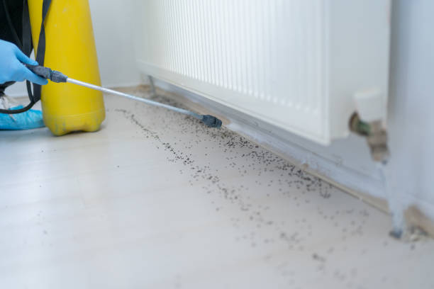 Best Best Pest Control Companies  in Russell, PA
