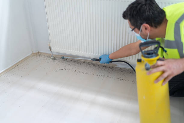Best Cockroach Control Services  in Russell, PA