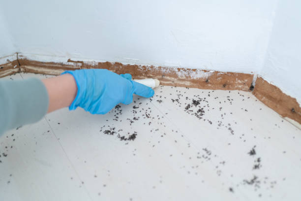 Pest Prevention Services in Russell, PA